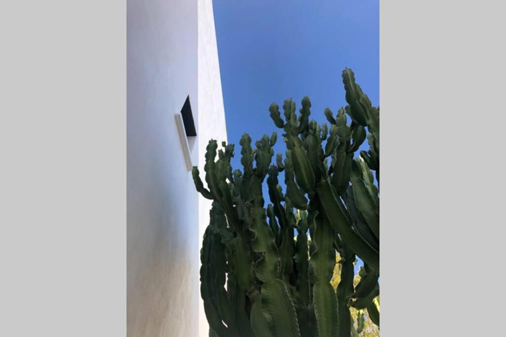 Casa Granado En Cabo De Gata Villa Rodalquilar Luaran gambar